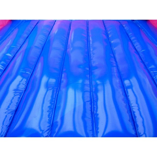 Inflatable Frozen Jump